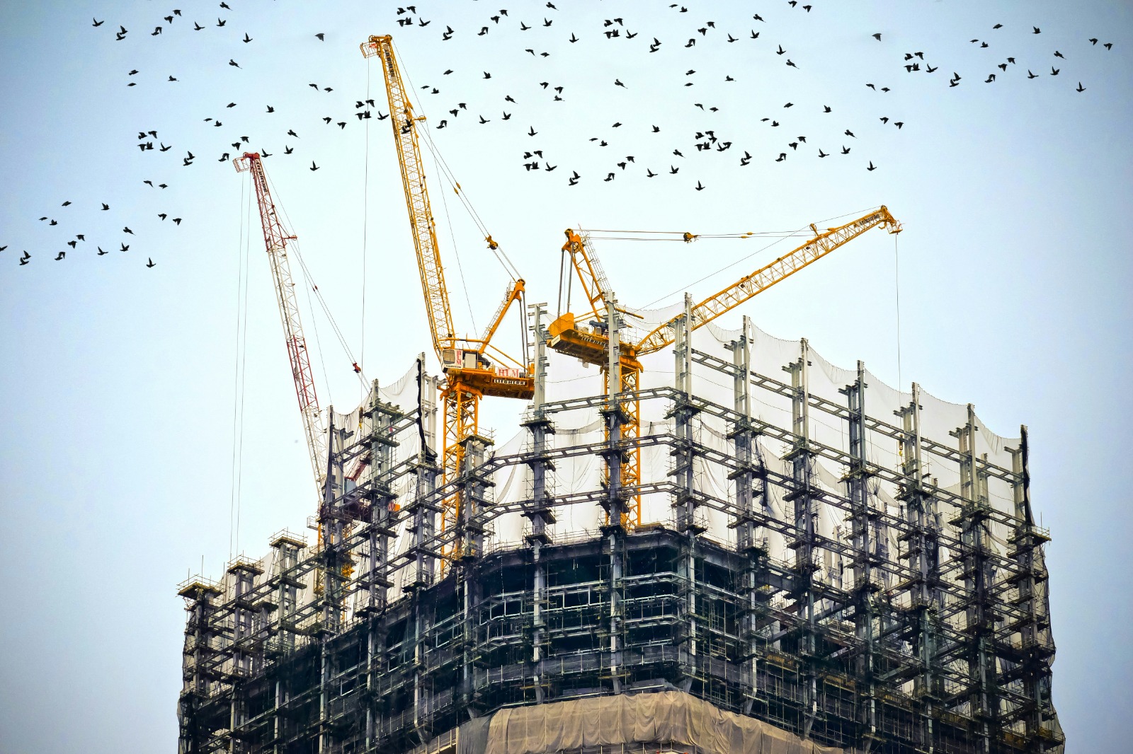 Construction Management